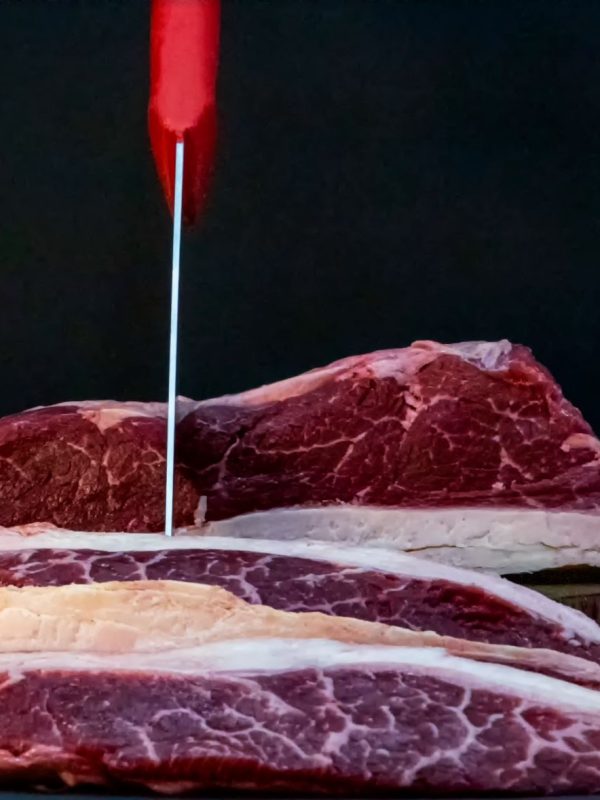 Picaña Gallega